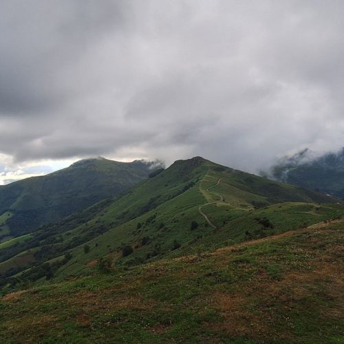 errebi pottok 4
