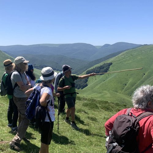 mendi-Rando kintoa-4