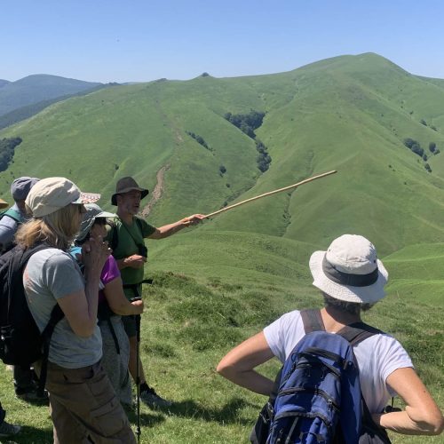 mendi-Rando kintoa-5