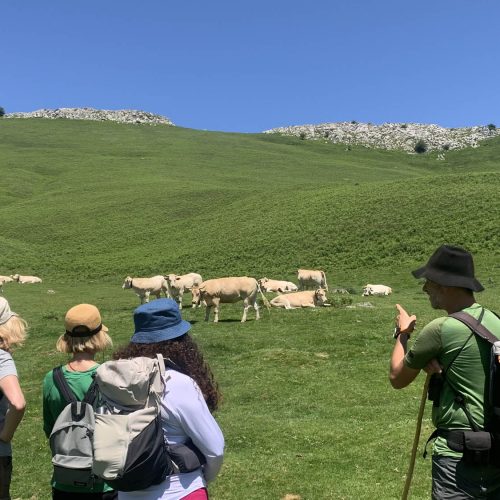 mendi-Rando kintoa-7