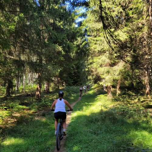 mendi-gaiak-Balade VTT électrique-5