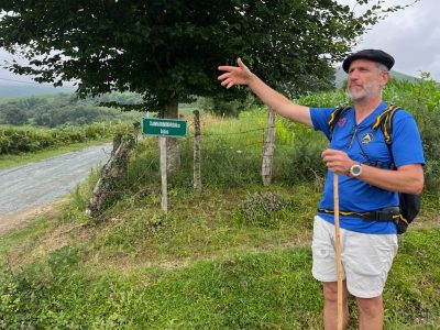 mendi-gaiak-Denis 2025 2