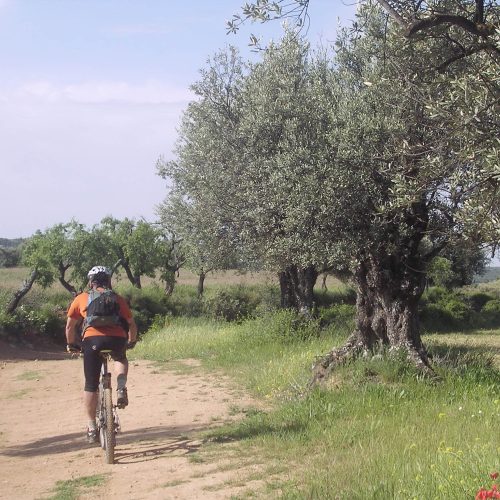 mendi-gaiak-Mallos de riglos (VTT électrique)-2