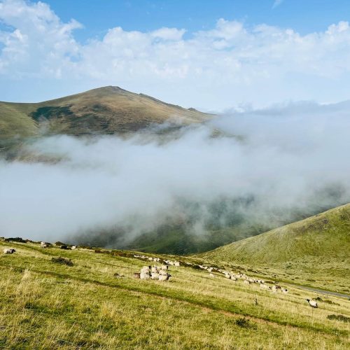 mendi-gaiak-Rando berger-4