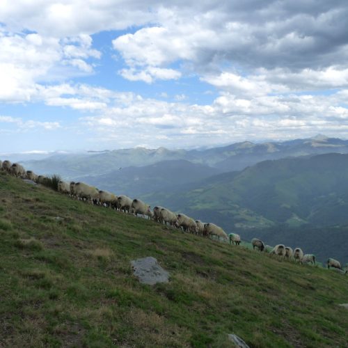 mendi-gaiak-Rando berger-8