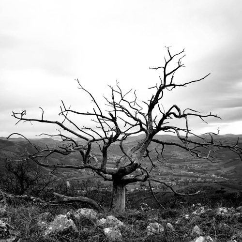 mendi-gaiak-Rando hivernale-2