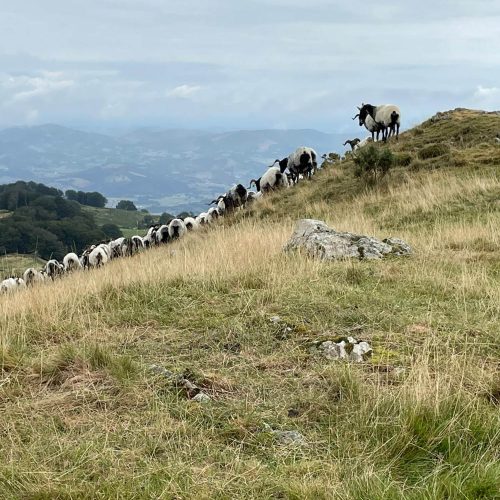 mendi-gaiak- Rando resto Orisson-10