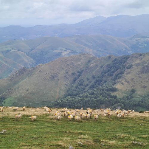 mendi-gaiak- Rando resto Orisson-4