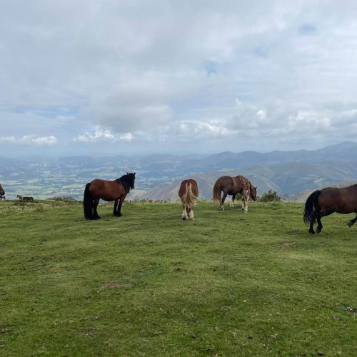 mendi-gaiak- Rando resto Orisson-7