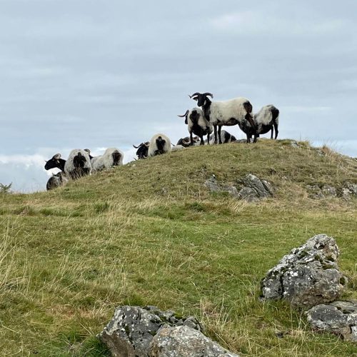 mendi-gaiak- Rando resto Orisson-8