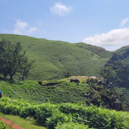 mendi-gaiak-Rando vautour-11