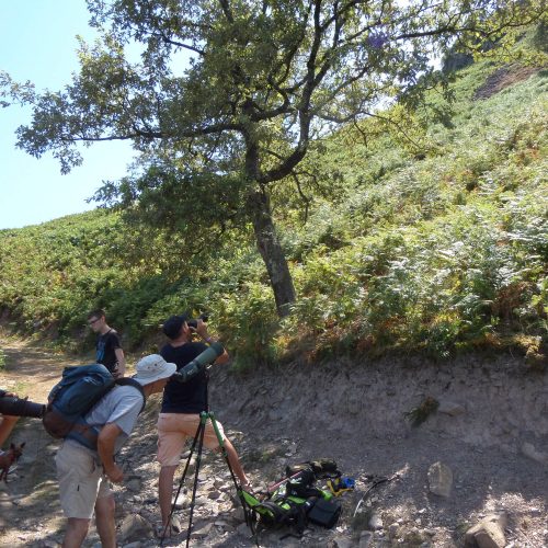 SAMSUNG CAMERA PICTURES