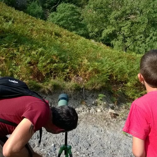 mendi-gaiak-Rando vautour-26