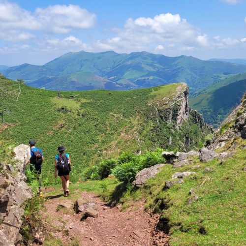 mendi-gaiak-Rando vautour-8