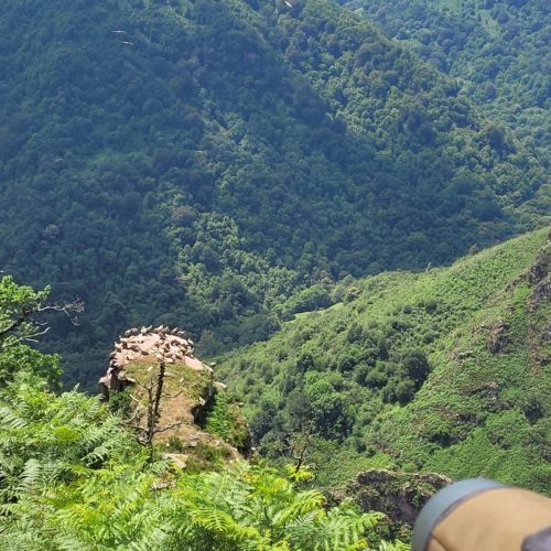 mendi-gaiak-Rando vautour-9