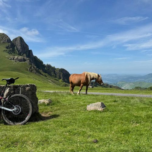 mendi-gaiak-Traversée du Pays Basque (VTT électrique)-6