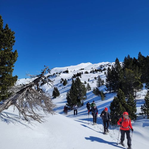 mendi-gaiak-raquettes a neige-5