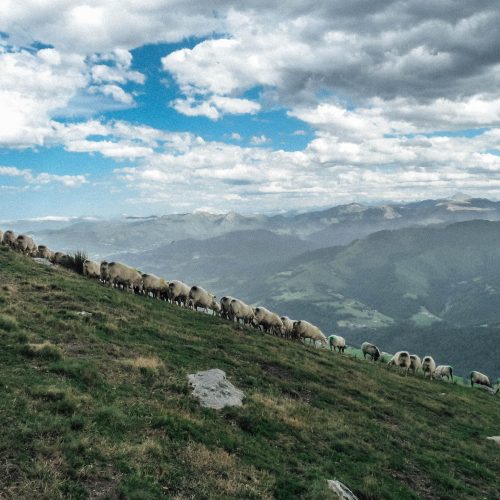 mendigaiak-rando-berger