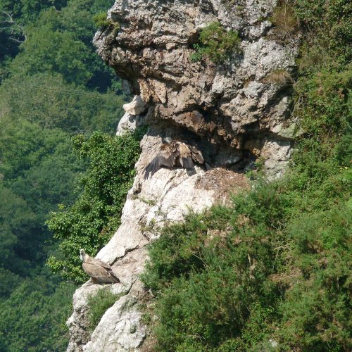 mendigaiak-rando-vautours-2